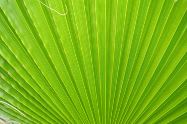 Similar image 21417476