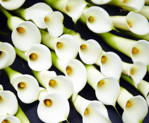 Similar image 21405708