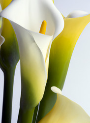 Similar image 21405709