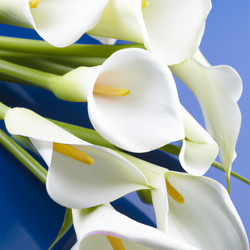 Similar image 21405711