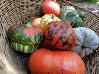 Similar image 21405413