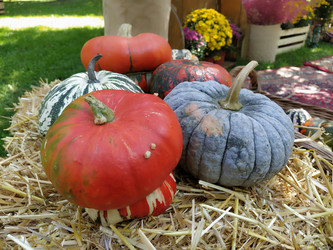 Similar image 21405415