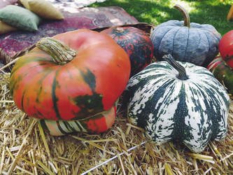 Similar image 21405416