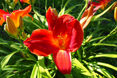 Similar image 21405420