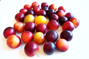 Similar image 21415632