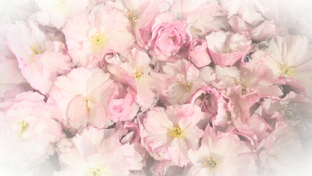 Similar image 21415635