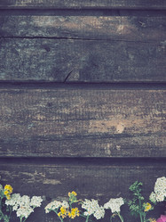 Similar image 21415636