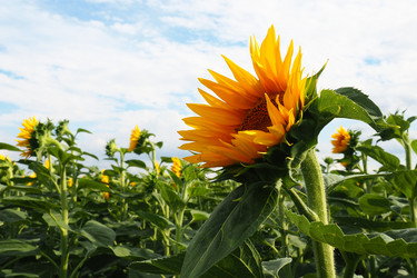 Similar image 21415638