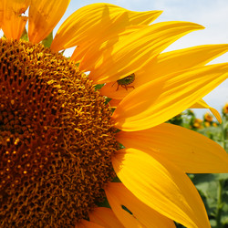 Similar image 21415642