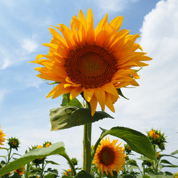 Similar image 21415643