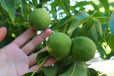 Similar image 21415644