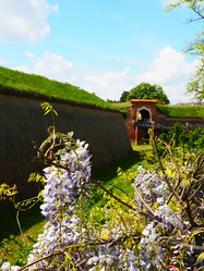 Similar image 21415651