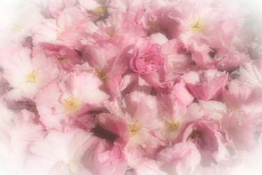 Similar image 21415652