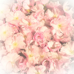 Similar image 21415654