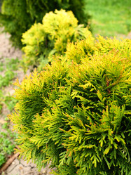 Similar image 21415657