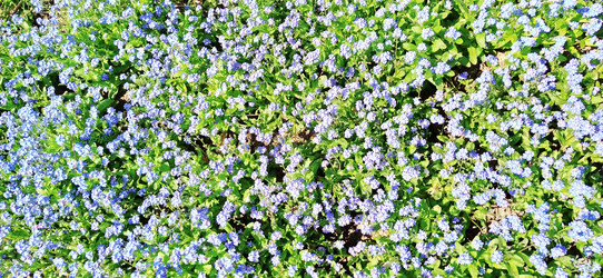 Similar image 21415658