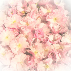 Similar image 21415922