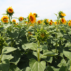 Similar image 21415926