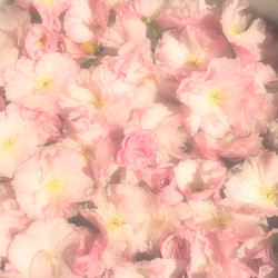 Similar image 21415928