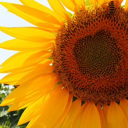 Similar image 21415929