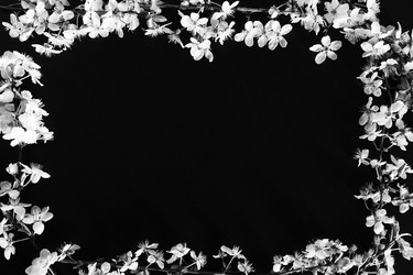 Similar image 21416298