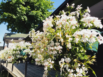 Similar image 21416803