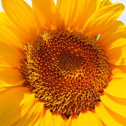 Similar image 21416805