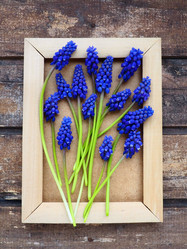 Similar image 21417227