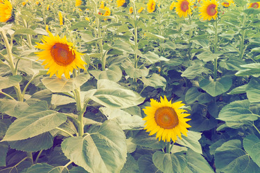 Similar image 21417229