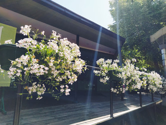 Similar image 21417232