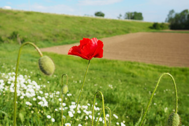 Similar image 21417483