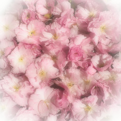 Similar image 21417487