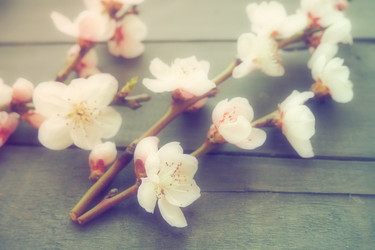 Similar image 21418049