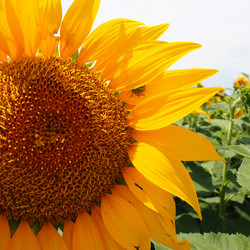 Similar image 21418050