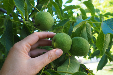 Similar image 21418054