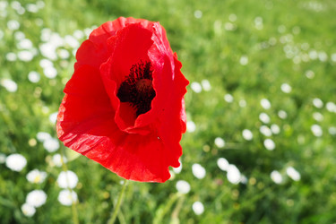 Similar image 21418058