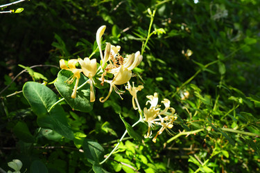 Similar image 21418060