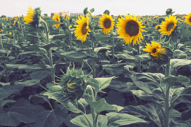 Similar image 21418303