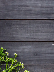 Similar image 21418304