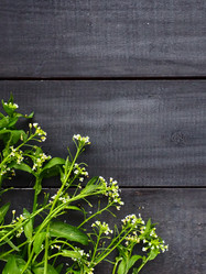 Similar image 21404275