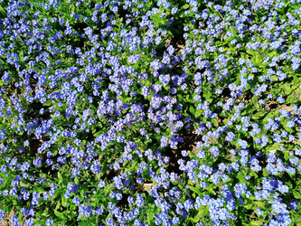 Similar image 21405422