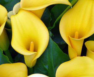 Similar image 21405717