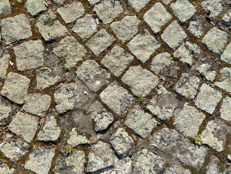 Similar image 21415661