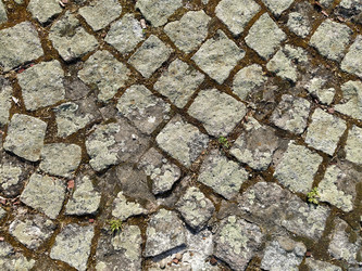 Similar image 21415935