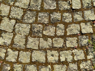 Similar image 21416301