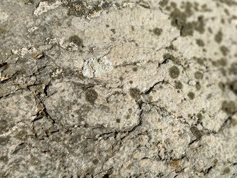 Similar image 21416302