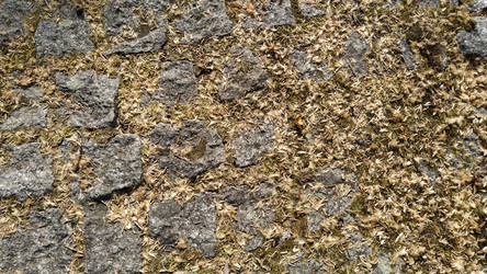 Similar image 21404282