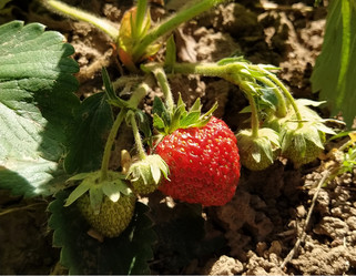 Similar image 21404285