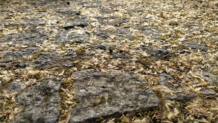 Similar image 21404458