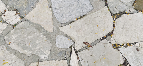 Similar image 21404462